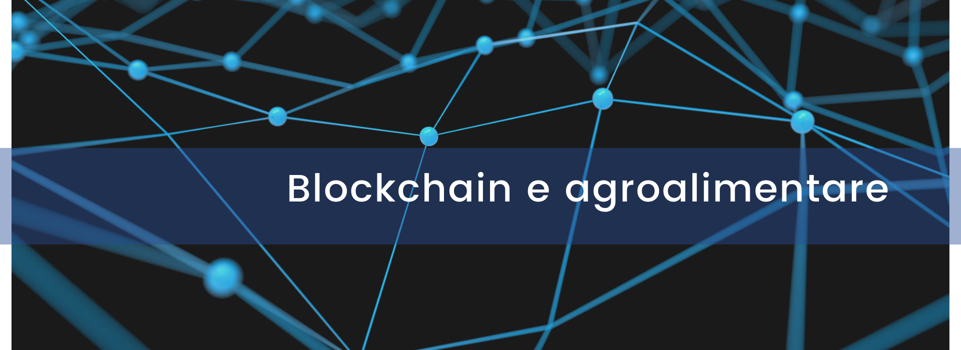 blockchain-agroalimentare